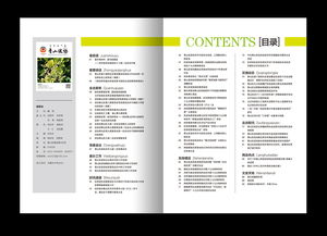 政协期刊杂志设计