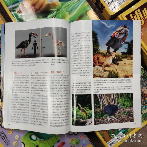 博物期刊《博物》杂志 六十本珍藏，一窥自然万象