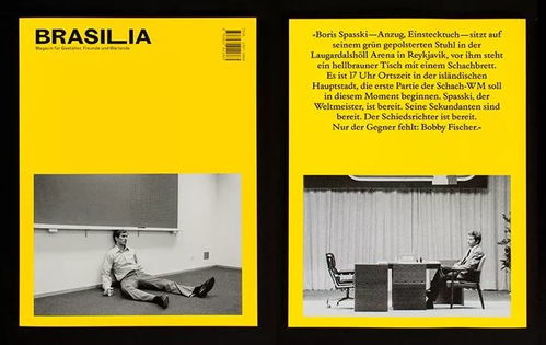 2018年度最佳独立杂志 定义与不同